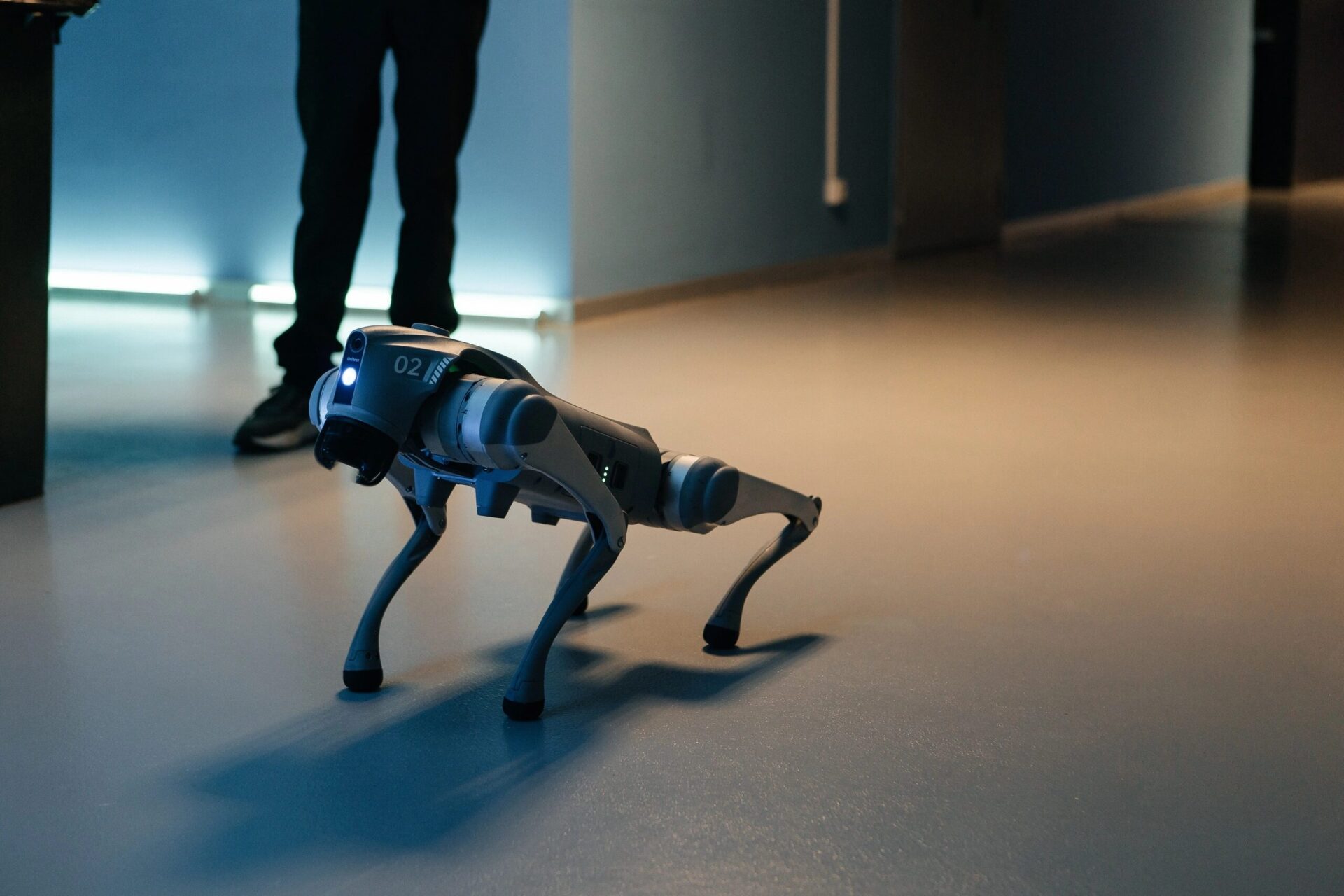 Кейс: успешное использование роботов-собак для повышения лояльности клиентов