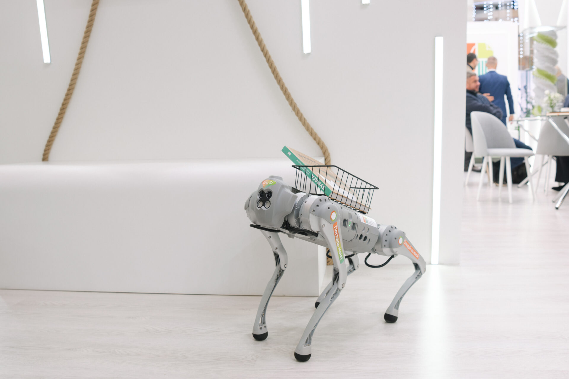 Привлечение внимания гостей ресторанов Москвы с помощью роботов-собак