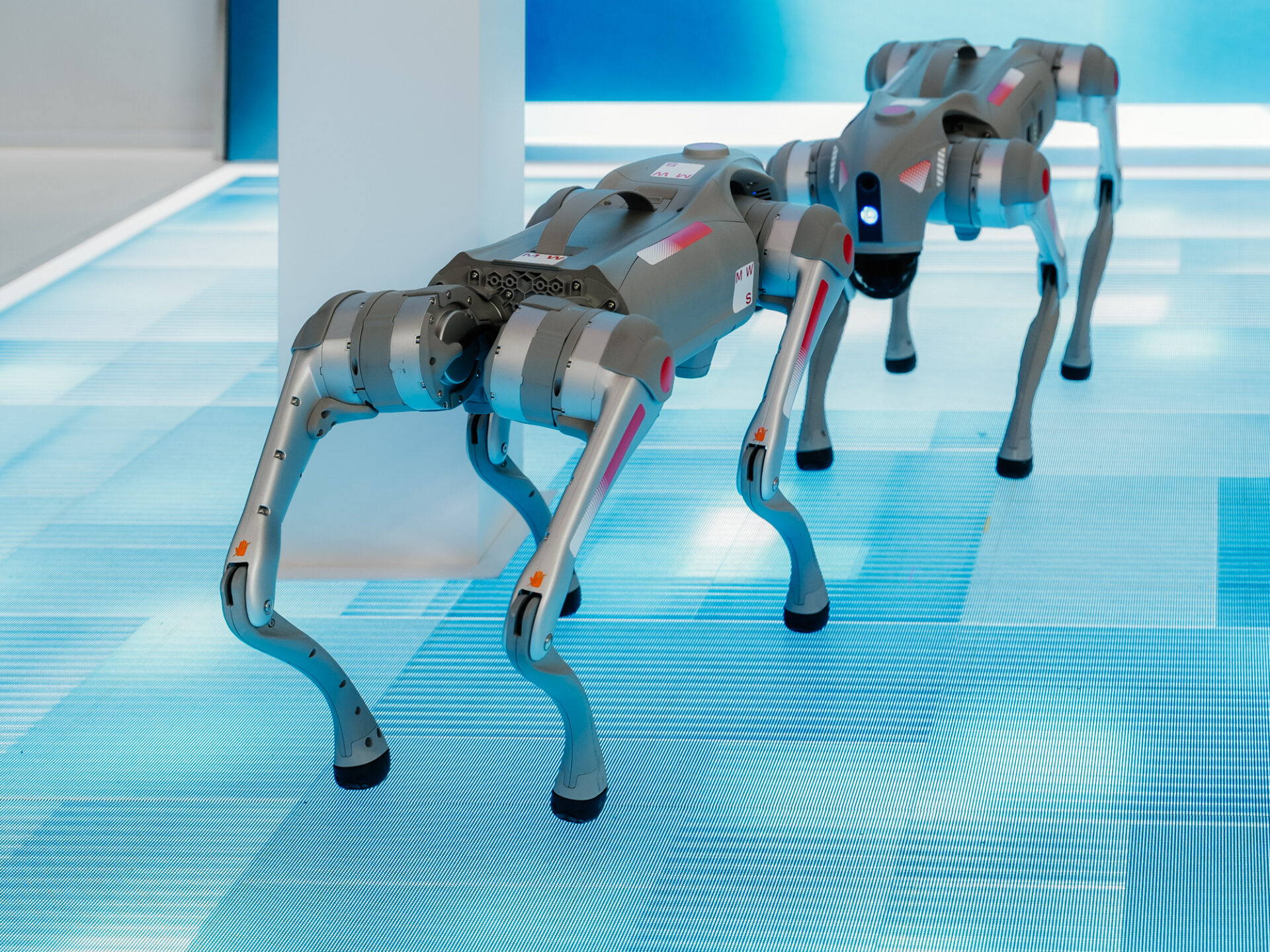 Как правильно обслуживать и поддерживать робота-собаку в рабочем состоянии