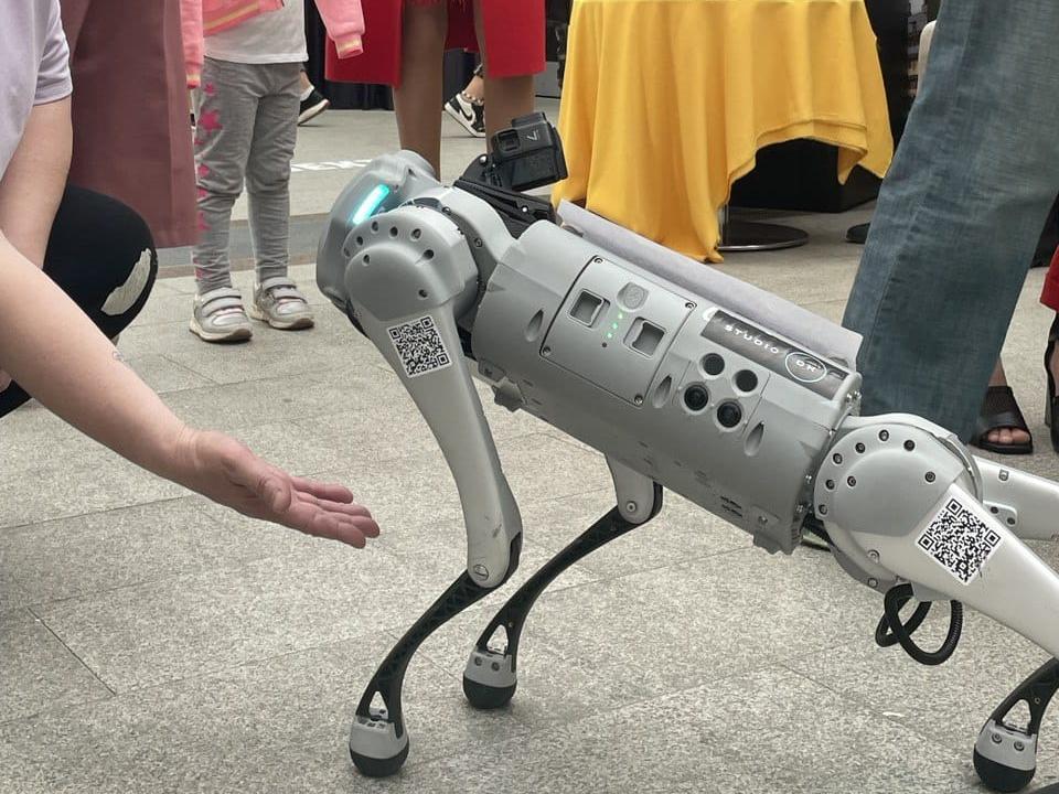 Как робот-собака помогает в обучении и развитии детей: примеры использования