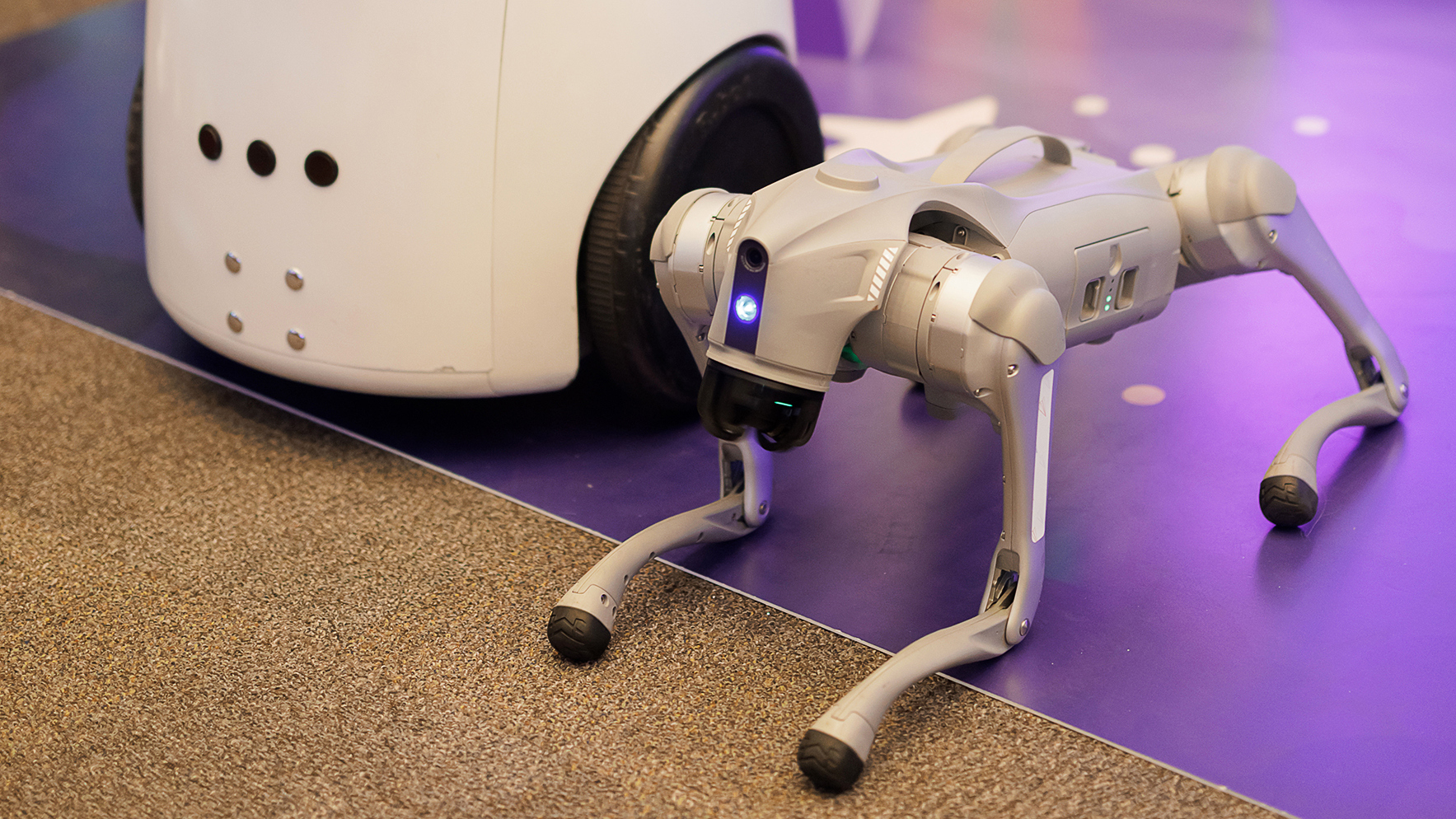 Арендовать с оператором или без: как определить, нужен ли вам специалист для управления роботом на мероприятии