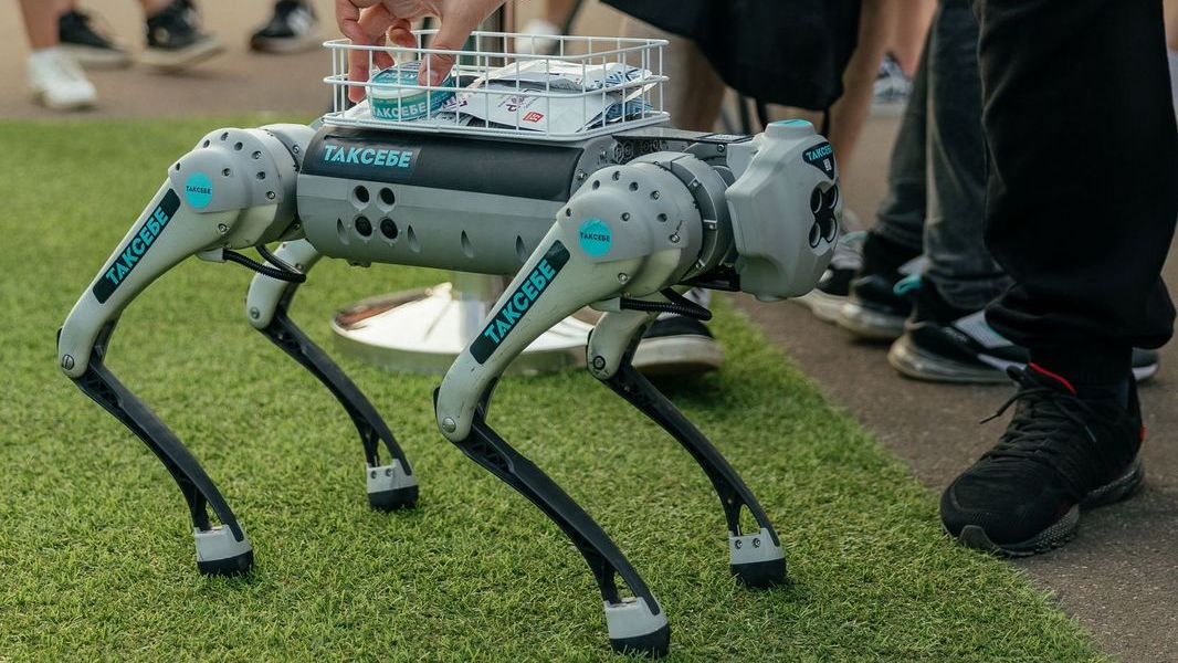 Какие погодные условия допустимы для работы робота-собаки на улице